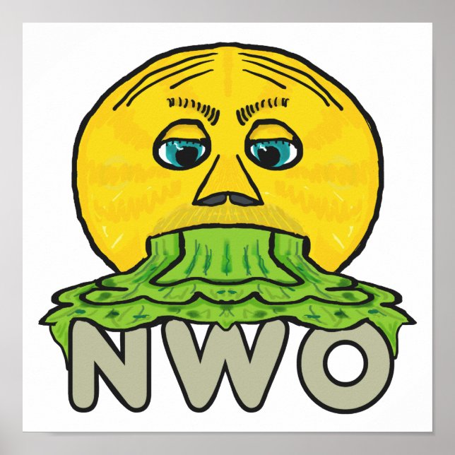 Anti New World Order Poster (Front)