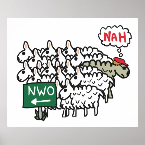 Anti NWO New World Order Poster