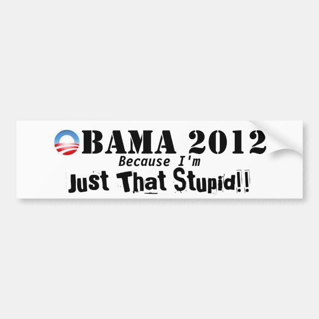 Anti Obama 2012 Bumper Sticker (Front)