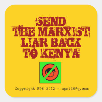 Anti Obama Square Sticker