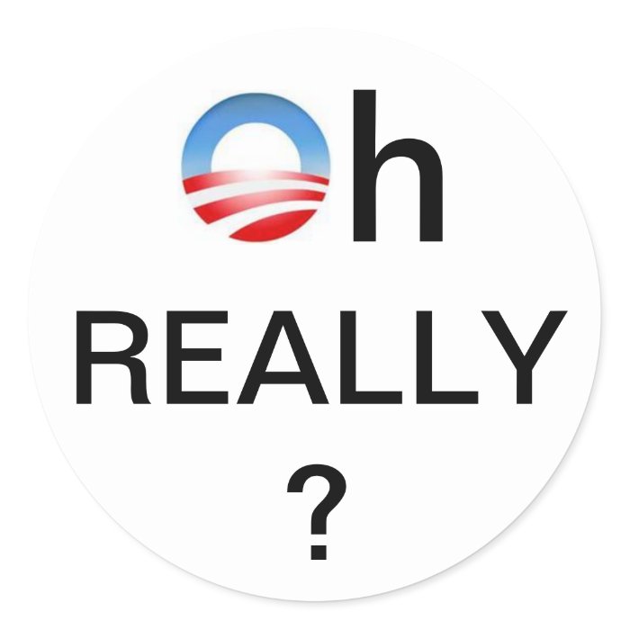 Anti Obama Window Decal Round Sticker