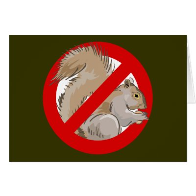 Anti-Squirrel