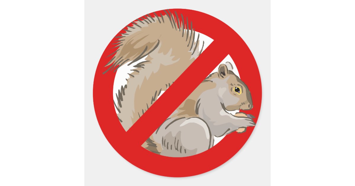 Anti-Squirrel Classic Round Sticker | Zazzle