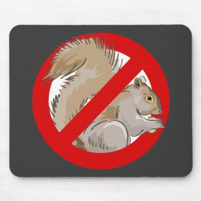 Anti-Squirrel Mouse Pad