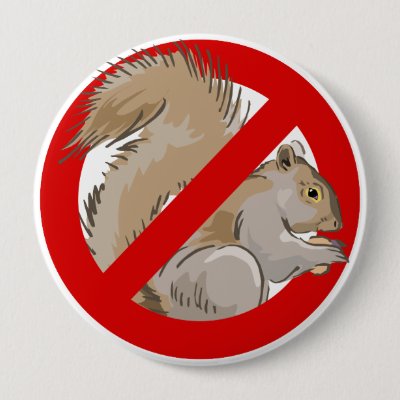 Anti-Squirrel Pinback Button