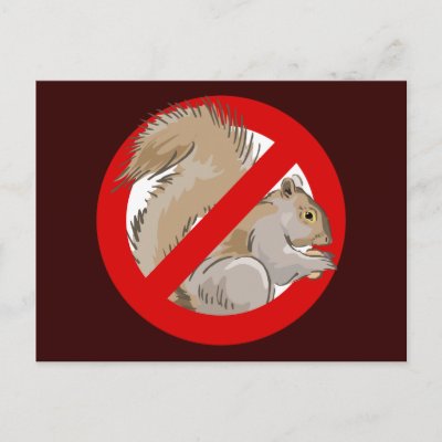 Anti-Squirrel Postcard