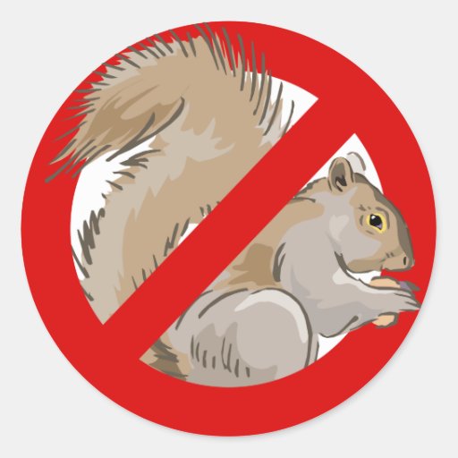 Anti-Squirrel Classic Round Sticker | Zazzle