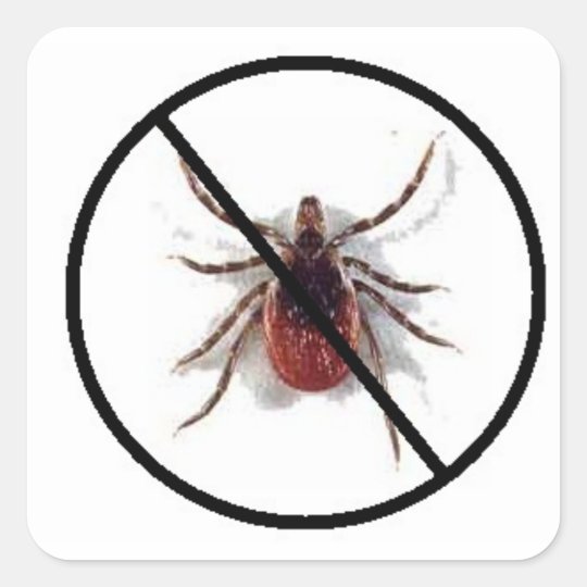 Anti Tick Sticker | Zazzle.com