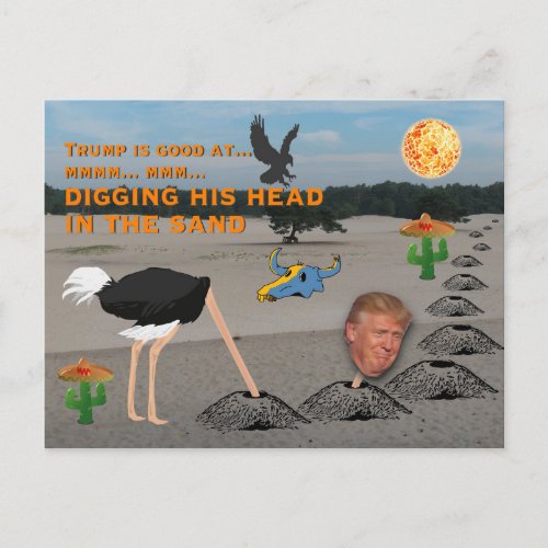 Anti Trump  Digging his head in the sand Postcard