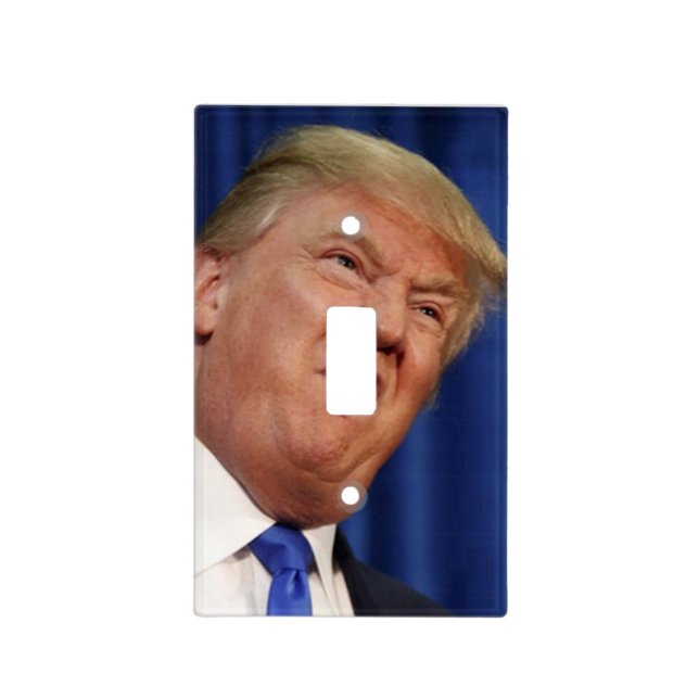 Anti-Trump Vote Blue 2020 Light Switch Cover (Front)