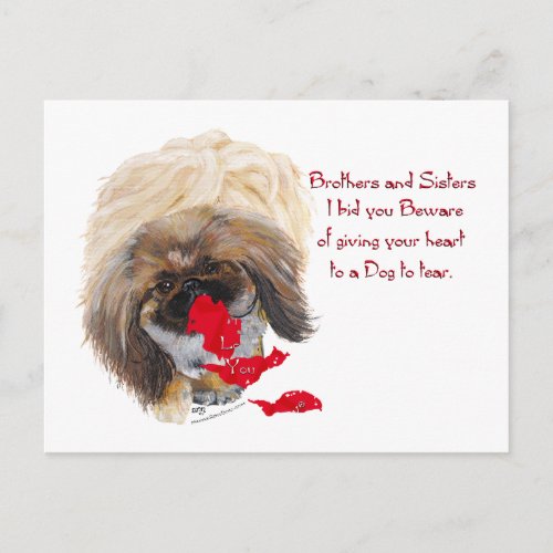 Anti Valentine Pekingese Holiday Postcard