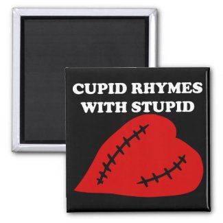 Anti-Valentine's Day: Cupid rhymes with stupid magnet