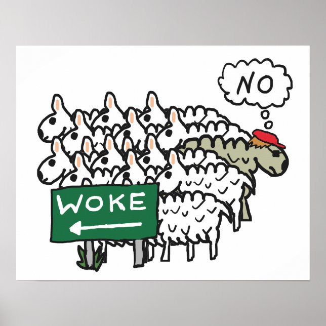 Anti Woke Poster (Front)