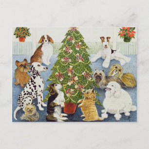 Anticipation Holiday Postcard