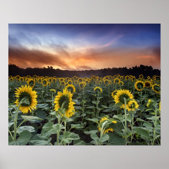 anticipation poster (Front)