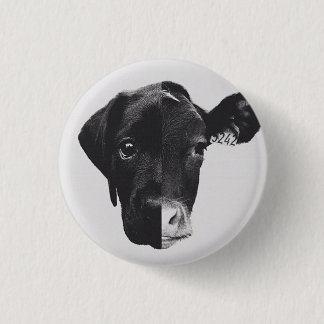 Antiespecismo Pinback Button