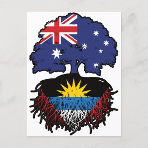 Antigua Antiguan Australian Australia Tree Roots Postcard