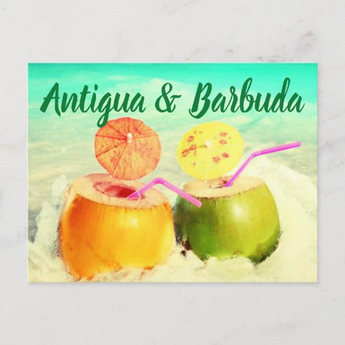 Antigua  Barbuda coconuts Postcard