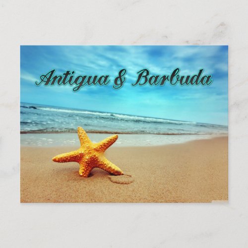 Antigua  Barbuda starfish Postcard