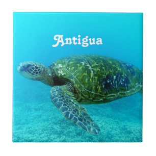 Antigua Hawk Billed Turtle Ceramic Tile