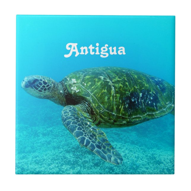 Antigua Hawk Billed Turtle Ceramic Tile (Front)
