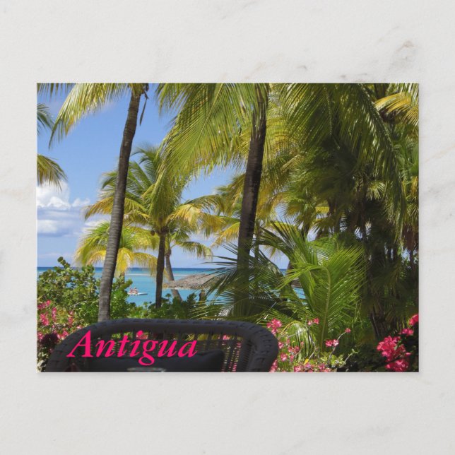 Antigua Postcard (Front)