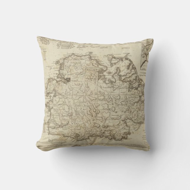 Antigua Throw Pillow (Front)