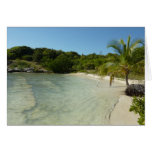 Antiguan Beach Beautiful Tropical Landscape