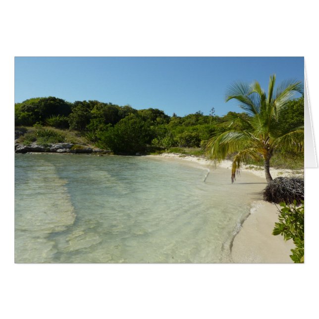 Antiguan Beach Beautiful Tropical Landscape (Front Horizontal)