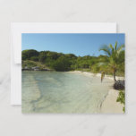 Antiguan Beach Beautiful Tropical Landscape