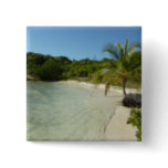 Antiguan Beach Beautiful Tropical Landscape Button