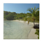 Antiguan Beach Beautiful Tropical Landscape Ceramic Tile