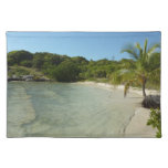 Antiguan Beach Beautiful Tropical Landscape Cloth Placemat