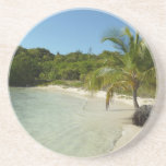 Antiguan Beach Beautiful Tropical Landscape Drink Coaster