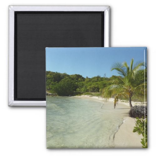 Antiguan Beach Beautiful Tropical Landscape Magnet