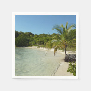 Antiguan Beach Beautiful Tropical Landscape Napkins