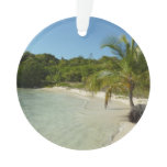 Antiguan Beach Beautiful Tropical Landscape Ornament