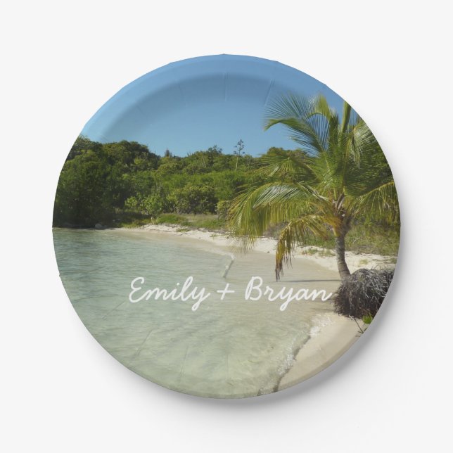 Antiguan Beach Beautiful Tropical Landscape Paper Plates (Front)