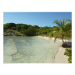 Antiguan Beach Beautiful Tropical Landscape Photo Print
