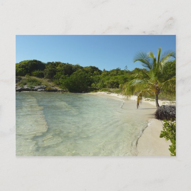 Antiguan Beach Beautiful Tropical Landscape Postcard (Front)
