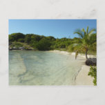 Antiguan Beach Beautiful Tropical Landscape Postcard