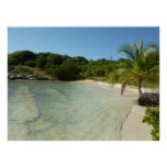 Antiguan Beach Beautiful Tropical Landscape Poster