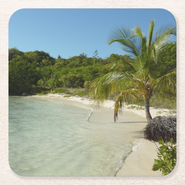 Antiguan Beach Beautiful Tropical Landscape Square Paper Coaster (Front)