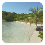 Antiguan Beach Beautiful Tropical Landscape Square Sticker