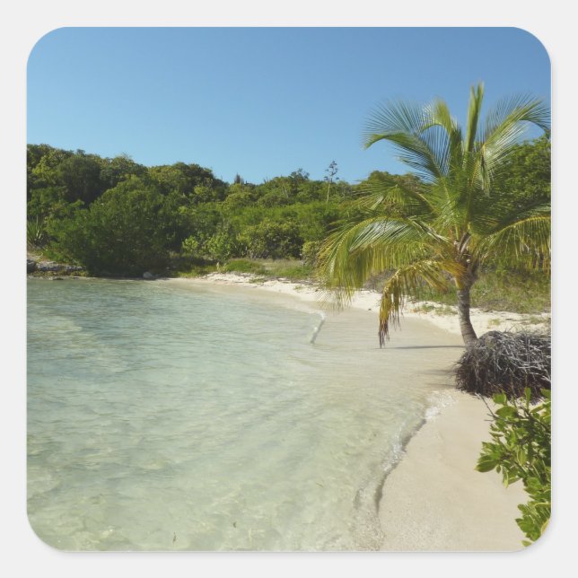 Antiguan Beach Beautiful Tropical Landscape Square Sticker (Front)