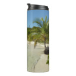 Antiguan Beach Beautiful Tropical Landscape Thermal Tumbler