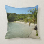Antiguan Beach Beautiful Tropical Landscape Throw Pillow