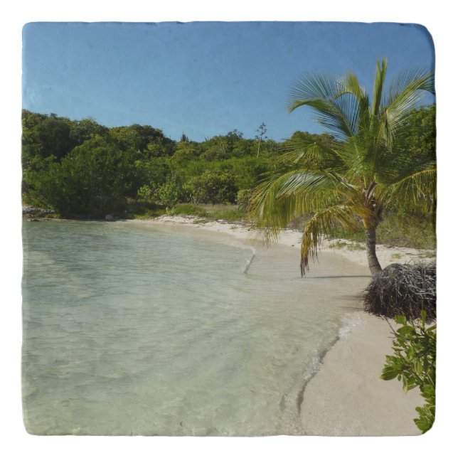 Antiguan Beach Beautiful Tropical Landscape Trivet (Front)