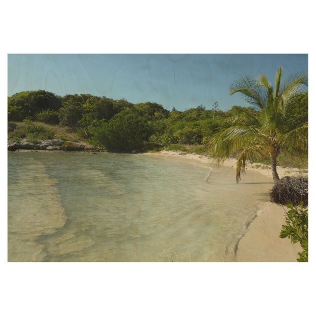 Antiguan Beach Beautiful Tropical Landscape Wood Poster (Front)