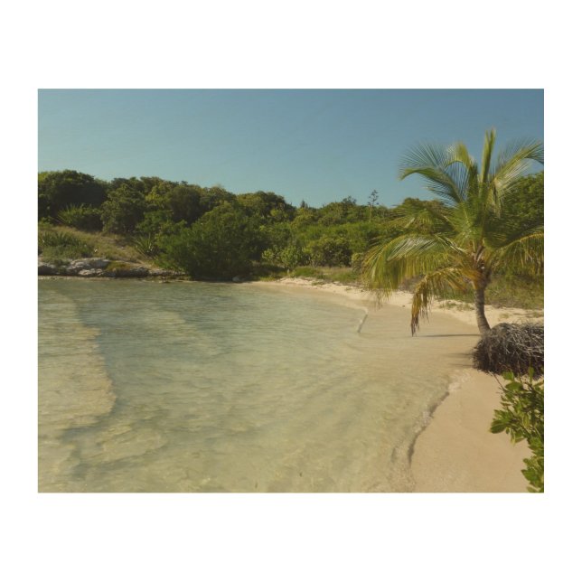 Antiguan Beach Beautiful Tropical Landscape Wood Wall Decor (Front)